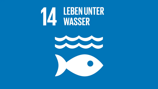 SDG 14 | Wie ist ein nachhaltiger und verantwortungsvoller Umgang mit unseren Weltmeeren möglich?