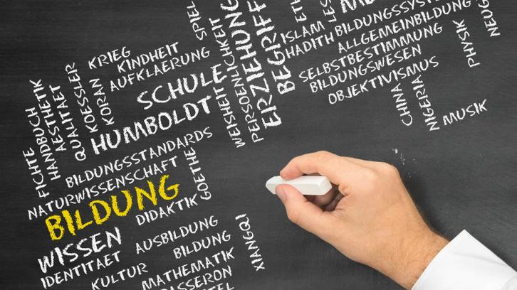 Im Fokus: Studium generale – Blick über den Tellerrand