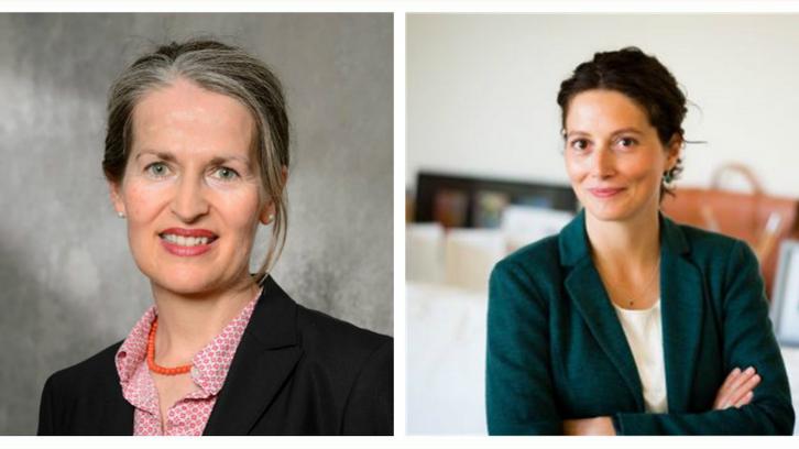 Recent Publications: Braun / Röthel "Passing Wealth on Death"