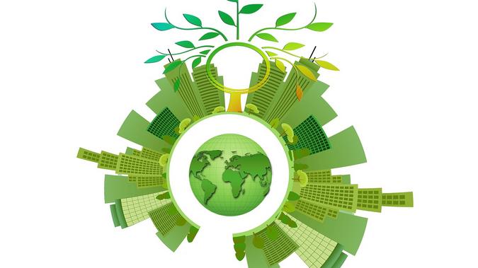 Universal Basic Income & Sustainability