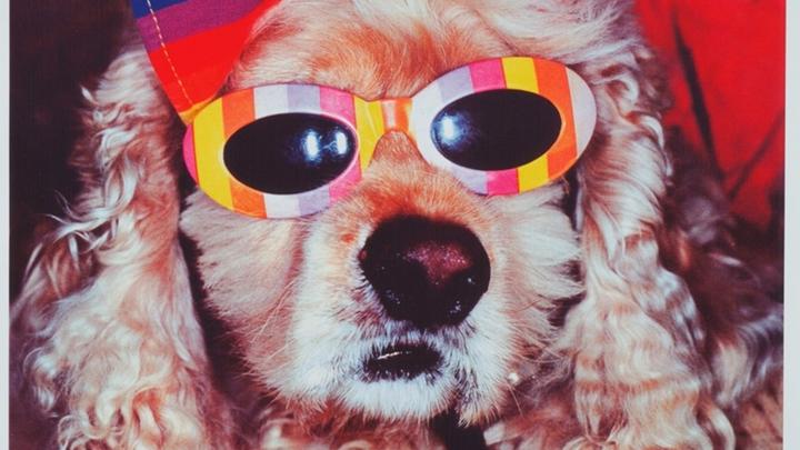 Sammlung Falckenberg zu Gast. Ausstellungseröffnung von Martin Parr, Common Sense